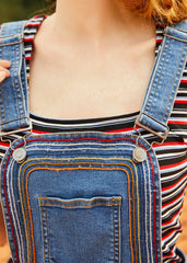 A Posh Picnic Denim Overall Jumper